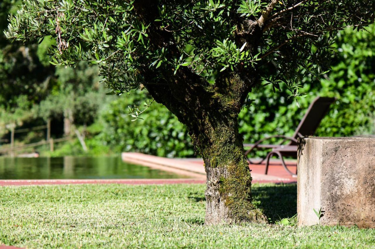 Vale Do Ninho Nature Houses Ferraria de São João Exterior photo